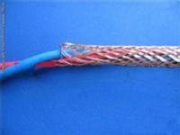 WDZR-DJYY(R)P低烟无卤计算机用屏蔽电缆 WDZR-DJYY(R)P低烟无卤计算机用屏蔽电缆